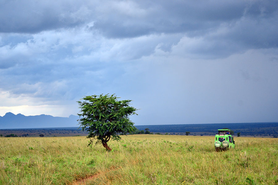 Kidepo Valley national park