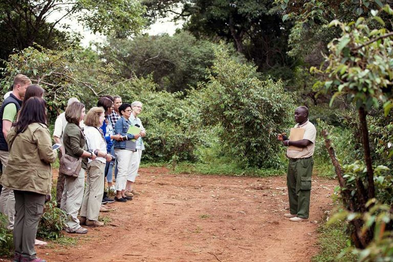 The Benefits of Joining A Group For Your African Safari